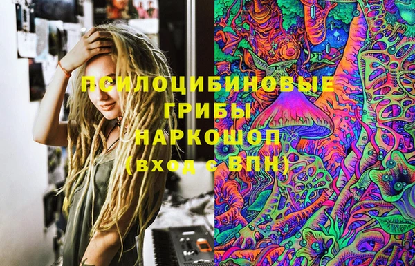 стафф Алзамай