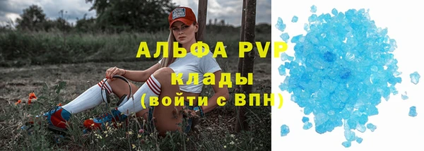 гидра Алексин