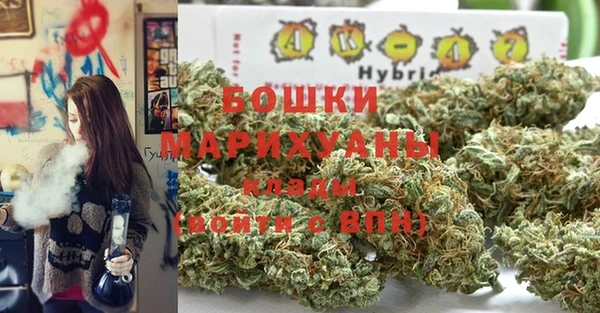 гидра Алексин